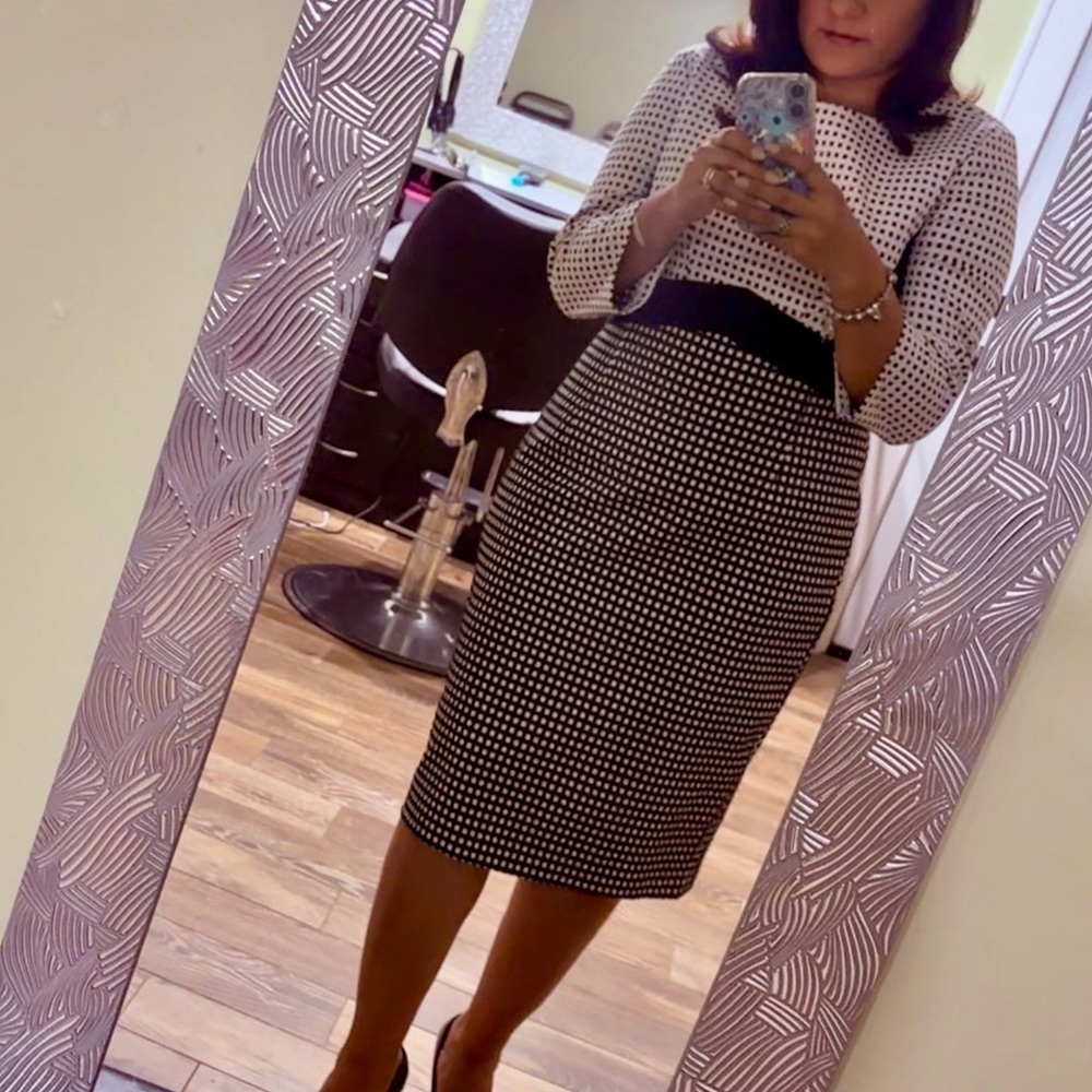 Alex Marie Black and White Pencil Skirt